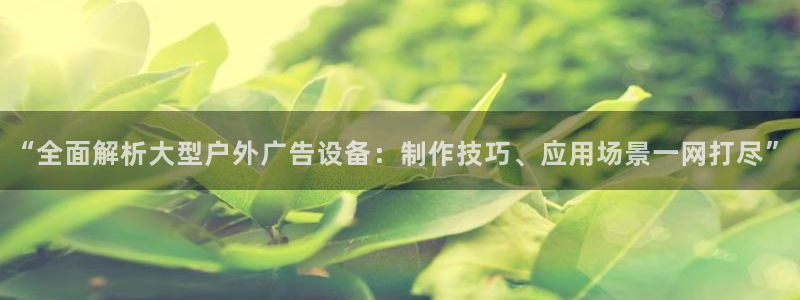 杏宇平台代理怎么样可靠吗：“全面解析大型户外广告设备：制作技巧、应用场景一网打尽”