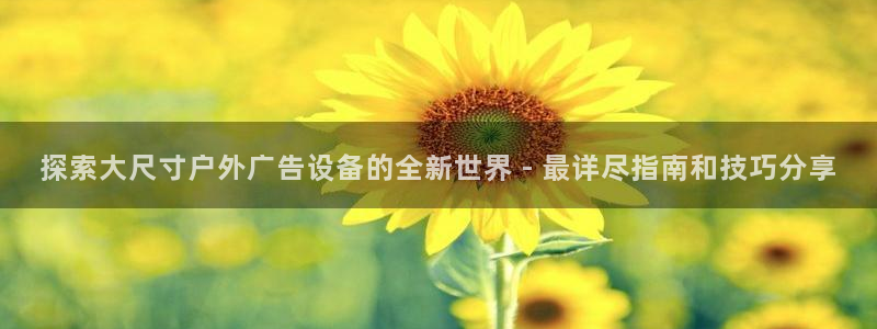 杏宇平台招商：探索大尺寸户外广告设备的全新世界 - 最详尽指南和技巧分享