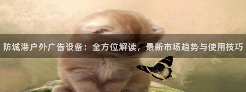 杏宇平台代理多少钱一次：防城港户外广告设备：全方位解读，最新市场趋势与使用技巧