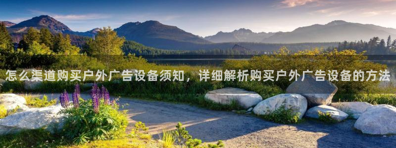 杏宇平台提现为什么这么久呢：怎么渠道购买户外广告设备须知，详细解析购买户外广告设备的方法