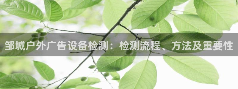 杏宇官方平台官网：邹城户外广告设备检测：检测流程、方法及重要性