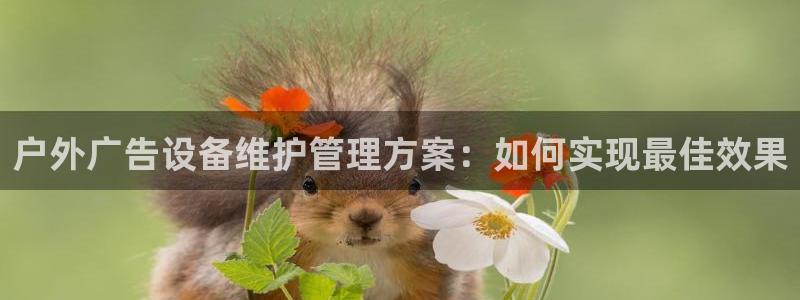 杏宇平台客服：户外广告设备维护管理方案：如何实现最佳效果