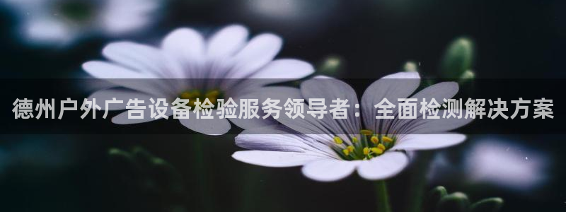 杏宇平台招商怎么样