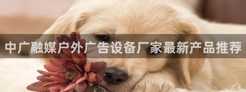 杏宇平台代理怎么赚钱的：中广融媒户外广告设备厂家最新产品推荐