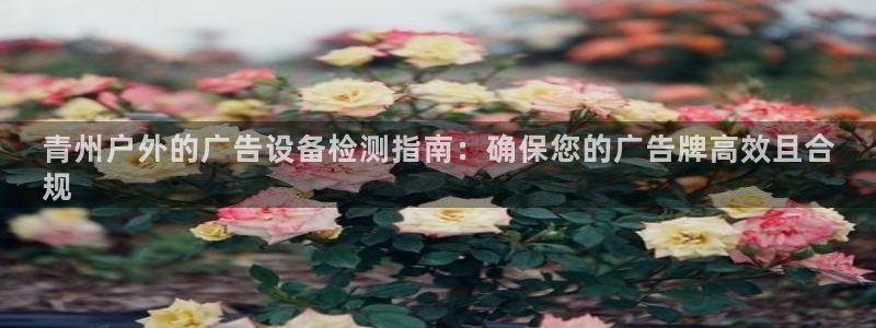 杏宇平台招商电话号码：青州户外的广告设备检测指南：确保您的广告牌高效且合
规
