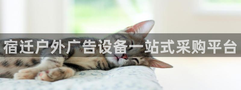 杏宇平台招商：宿迁户外广告设备一站式采购平台