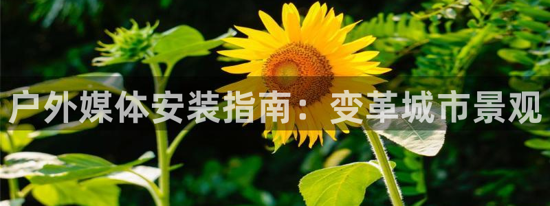 杏宇平台招商怎么样：户外媒体安装指南：变革城市景观