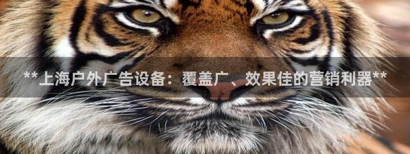 杏宇平台代理怎么赚钱：**上海户外广告设备：覆盖广、效果佳的营销利器**