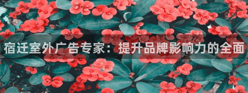 杏宇平台开户：宿迁室外广告专家：提升品牌影响力的全面