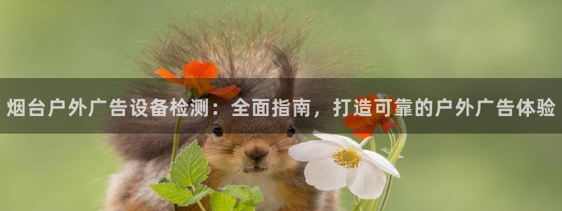 杏宇平台怎么样赚钱：烟台户外广告设备检测：全面指南，打造可靠的户外广告体验