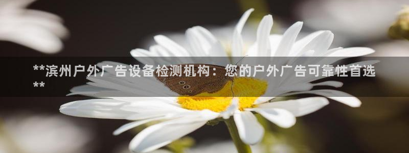 杏宇平台怎么样