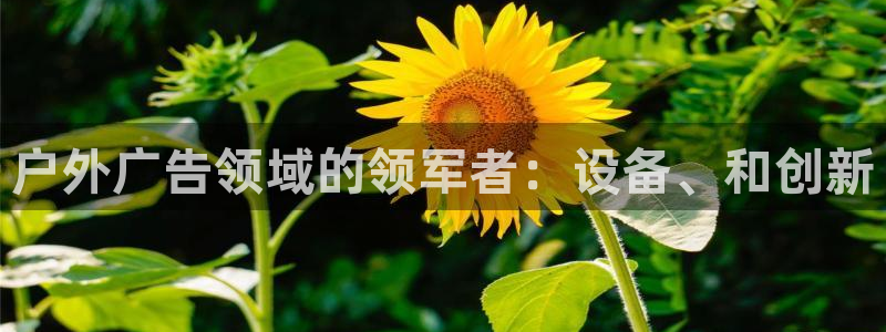 杏宇平台登录步骤是什么：户外广告领域的领军者：设备、和创新