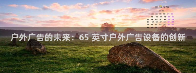 杏宇平台代理怎么赚钱的：户外广告的未来：65 英寸户外广告设备的创新