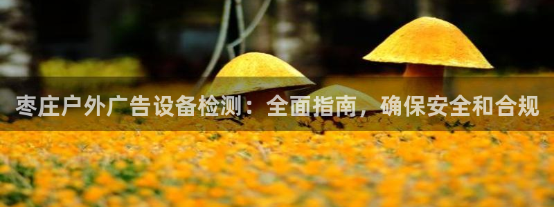 杏宇平台官网注册：枣庄户外广告设备检测：全面指南，确保安全和合规