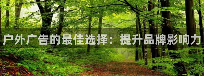 杏宇平台客服：户外广告的最佳选择：提升品牌影响力
