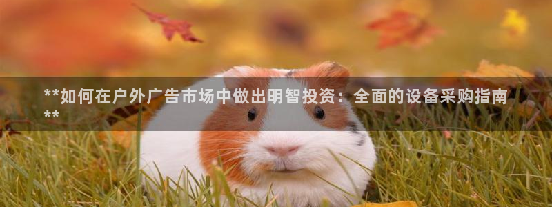 杏宇平台主管：**如何在户外广告市场中做出明智投资：全面的设备采购指南
**
