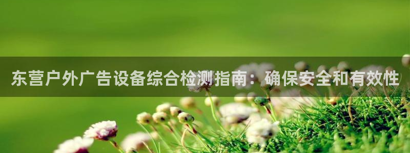 杏宇平台怎么样知乎：东营户外广告设备综合检测指南：确保安全和有效性