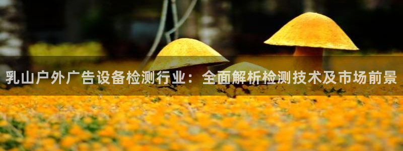 杏宇平台总代理：乳山户外广告设备检测行业：全面解析检测技术及市场前景