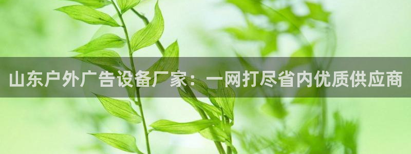 杏宇代理注册：山东户外广告设备厂家：一网打尽省内优质供应商