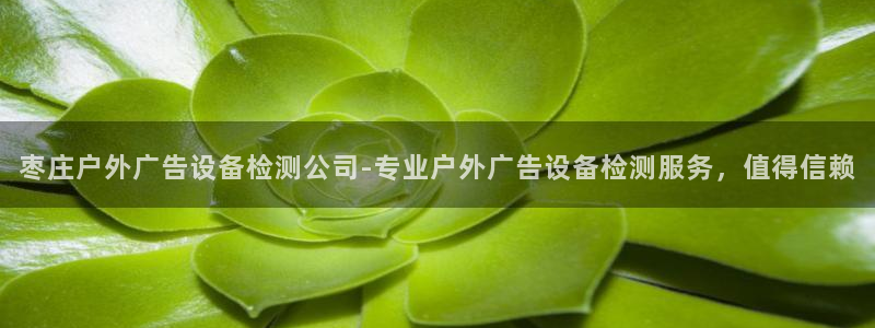 杏宇平台招商怎么样：枣庄户外广告设备检测公司-专业户外广告设备检测服务，值得信赖