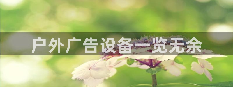 杏宇平台总代理电话