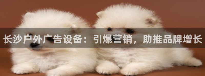 杏宇平台代理怎么样