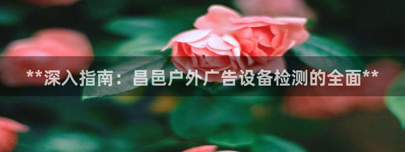 杏宇平台提现为什么这么久呢：**深入指南：昌邑户外广告设备检测的全面**
