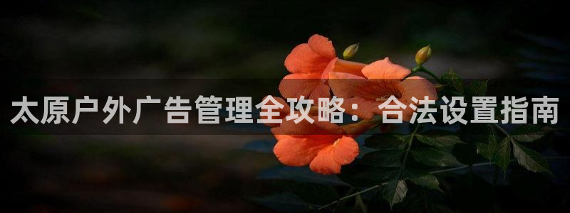 杏宇平台代理多少钱一次