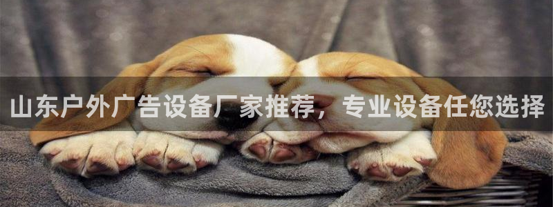 杏宇平台提现为什么这么久呢：山东户外广告设备厂家推荐，专业设备任您选择