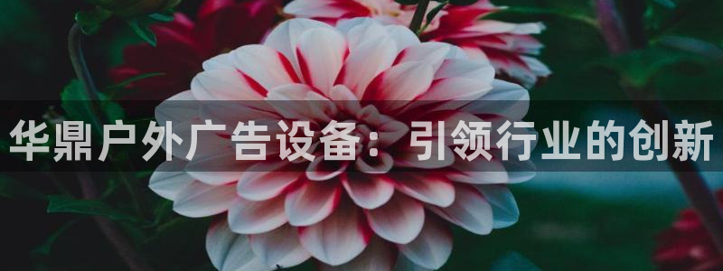 杏宇平台登陆：华鼎户外广告设备：引领行业的创新