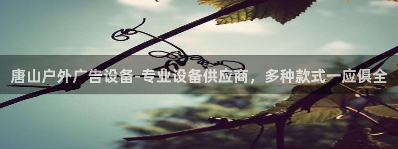 杏宇平台注册登录：唐山户外广告设备-专业设备供应商，多种款式一应俱全