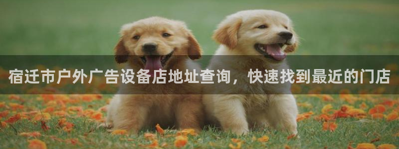 杏宇平台代理怎么赚钱快：宿迁市户外广告设备店地址查询，快速找到最近的门店
