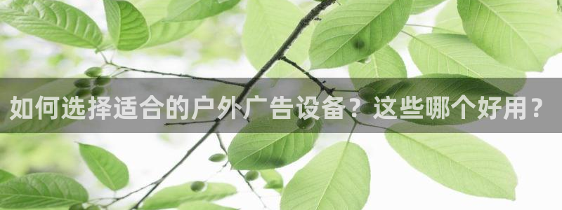 杏宇平台好吗：如何选择适合的户外广告设备？这些哪个好用？