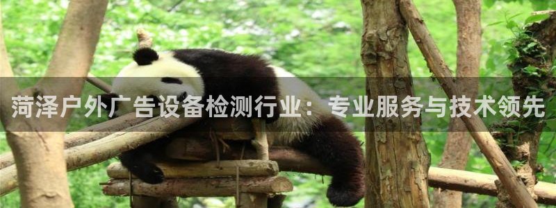 杏宇平台是什么：菏泽户外广告设备检测行业：专业服务与技术领先
