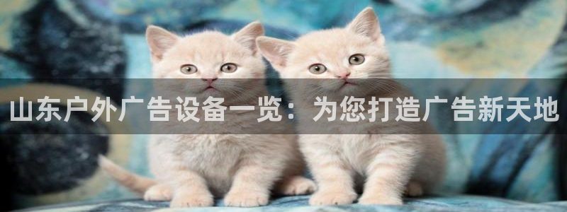 杏宇官方平台官网入口