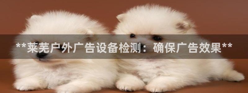 杏宇平台提现为什么这么久呢：**莱芜户外广告设备检测：确保广告效果**