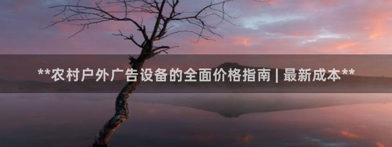 杏宇平台是什么：**农村户外广告设备的全面价格指南 | 最新成本**