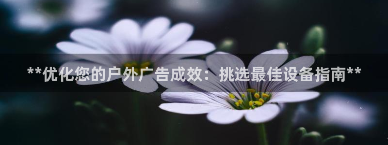 杏宇平台招商电话号码：**优化您的户外广告成效：挑选最佳设备指南**