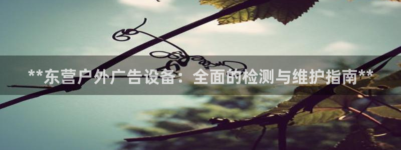 杏宇平台主管：**东营户外广告设备：全面的检测与维护指南**