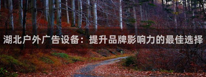 杏宇平台官网注册：湖北户外广告设备：提升品牌影响力的最佳选择