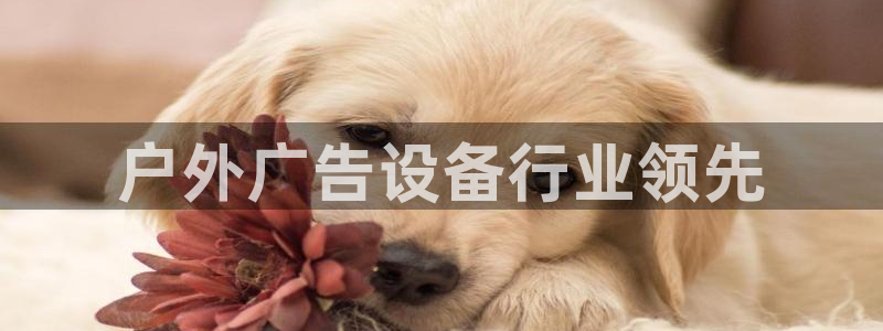 杏宇官方平台官网下载：户外广告设备行业领先