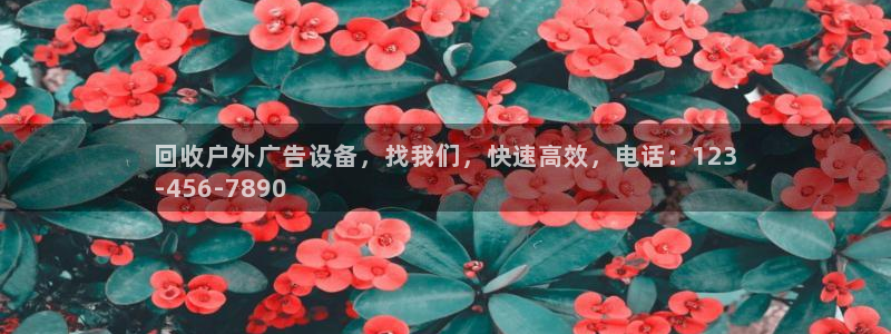 杏宇平台招商：回收户外广告设备，找我们，快速高效，电话：123
-456-7890