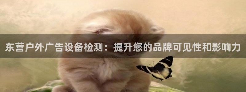 杏宇平台开户：东营户外广告设备检测：提升您的品牌可见性和影响力