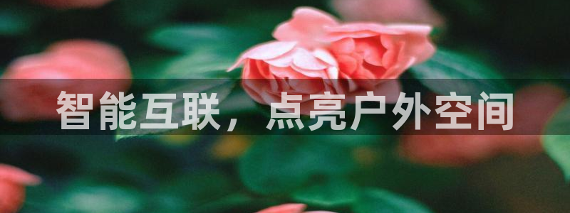 杏宇代理注册：智能互联，点亮户外空间