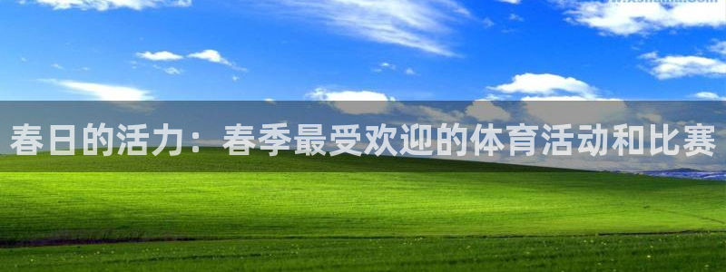 k1体育网址是多少：春日的活力：春季最受欢迎的体育活动和比赛
