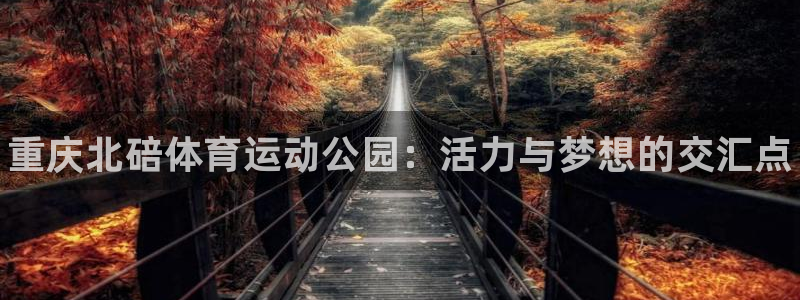 k1体育平台最新网站下载：重庆北碚体育运动公园：活力与梦想的交汇点