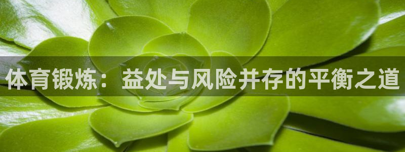 k1体育app下载：体育锻炼：益处与风险并存的平衡之道