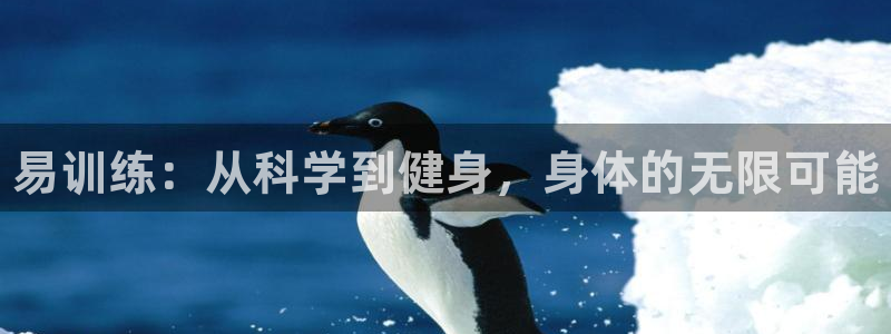 k1体育娱乐：易训练：从科学到健身，身体的无限可能