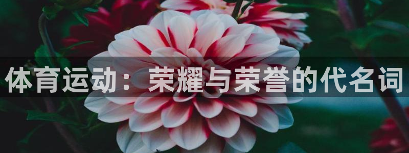 k1体育十年品牌值得信赖网址：体育运动：荣耀与荣誉的代名词