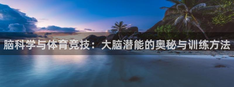 k1体育棋牌：脑科学与体育竞技：大脑潜能的奥秘与训练方法